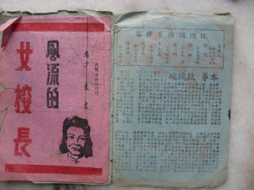 一比一仿国有土地使用证